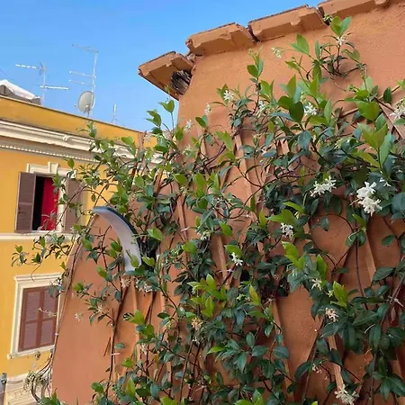Piccola Séjour chez l'habitant Rome
